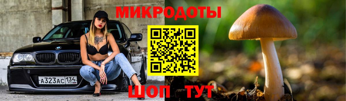 Псилоцибиновые грибы MAGIC MUSHROOMS  Вход с VPN  Ипатово 